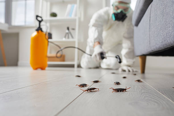 Post-Treatment Bed Bug Interceptor Monitoring in Genoa City